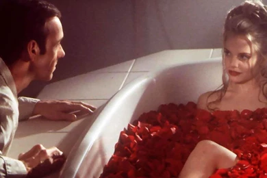 American Beauty 1920x1200 Wallpapers, 1920x1200 Wallpapers ...