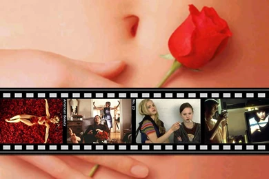 American Beauty Wes Bentley Wallpapers (1615905) Fanpop