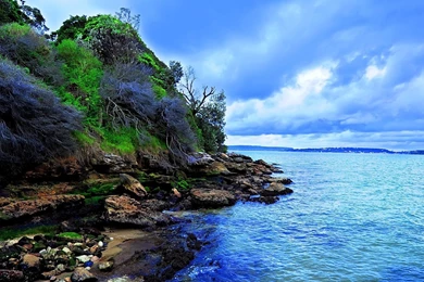 Nice Wallpapers Hd Free Download