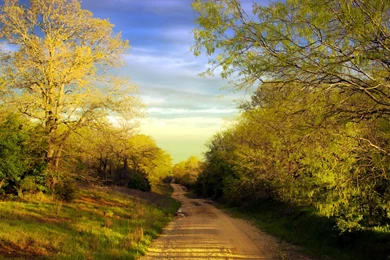 Download Wallpapers 3840x2400 Road, Country, Trees, Summer Ultra HD ...