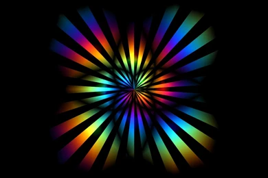 Zebra Glefia.com Wallpapers