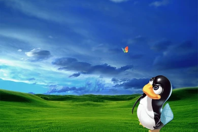 Download 45 Awesome Linux Wallpapers