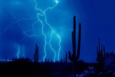 Gif Wallpapers Collection (47+)