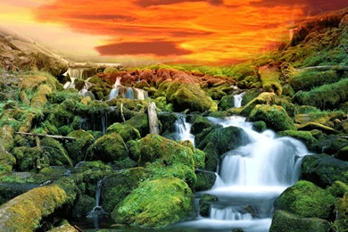 Animated Gif Wallpapers 9462 HD Wallpapers