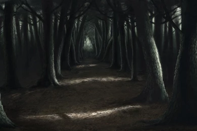 Backgrounds For Animation