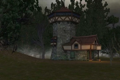 Dark Creepy Forest Halloween Video Backgrounds Set B YouTube