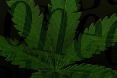 420 Truth Wallpapers For Mobile Wallpapers For Mobile Phones