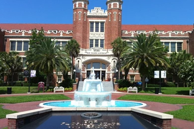 Wallpapers Florida State University X 1366x768