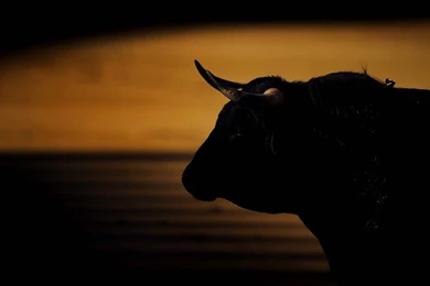 Red Bull Logo Transparent Backgrounds Wallpaper.