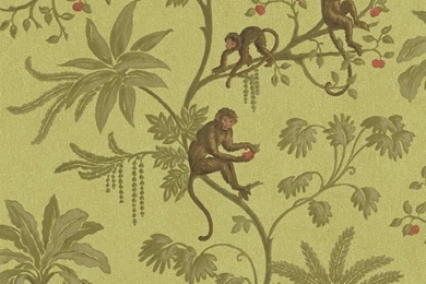 Jungle Of Monkeys Wallpapers Discount Wallcovering