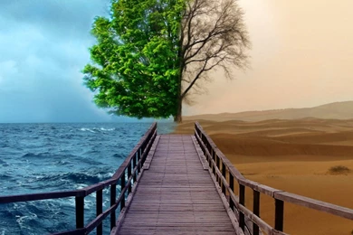 Download 3d Nature Wallpapers Widescreen