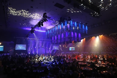 The CATSPY Awards UK Wildcats