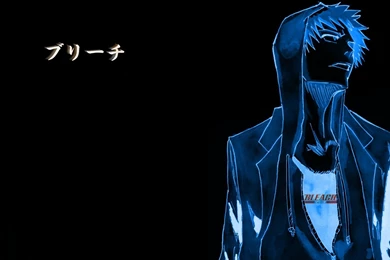 Bleach Anime Wallpapers Hd7