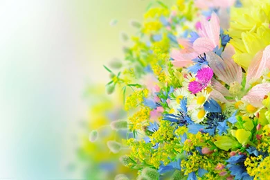 Bright Flower Arrangement :: Free High Quality Flower Wallpapers