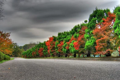 Animated Nature Wallpapers For Mobile Widescreen HD Wallpapers