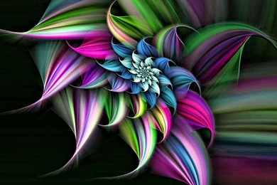3D Flower HD Wallpaper.jpg