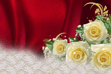 Yellow Roses On Red Satin HD Desktop Wallpapers : Widescreen : High ...