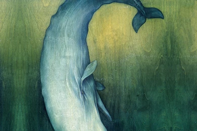 Poolga. Lisel Jane Ashlock Moby Dick