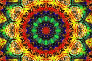 Wallpapers For iPhone Fde HD Wallpapers