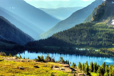 Hd Nature Images, Plants, Fresh Air, Widescreen Wallpapers ...