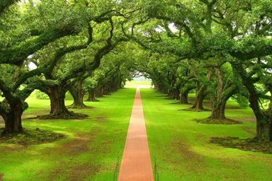 Beautiful Dreamy Street Road Scenery HD Photography Wallpapers 7 ...