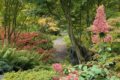 Nature And Landscape Wallpapers Free Download HD New Beautiful Images