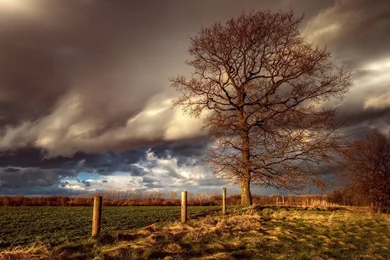 Holstein Beautiful Landscape Photography Wallpapers 8 - Landscape ...