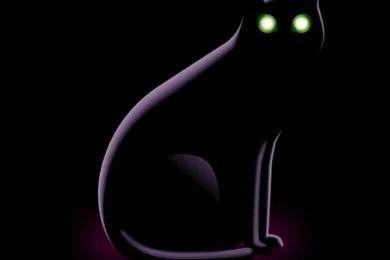 Funny Iphone Wallpaper Backgrounds Lock Screens Small Black Cat ...