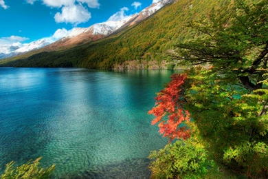 Landscape Wallpapers Free Wallpapers D7W HD Wallpapers Desktop ...