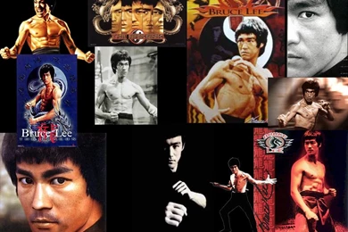 Wallpapers Bruce Lee 1024x768