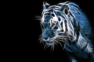 3d PC Wallpapers Images Tbwnz.com