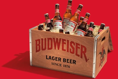 1366x768 Brands, Budweiser, Budweiser Backgrounds, Drinking ...