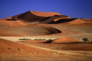 Desert Backgrounds Wallpapers