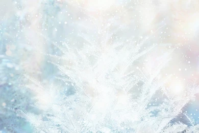 White Christmas Christmas Ornaments & Decorations 1280x800 NO.57 ...