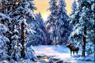 White Christmas (2008) Christmas Wallpapers (2908155) Fanpop