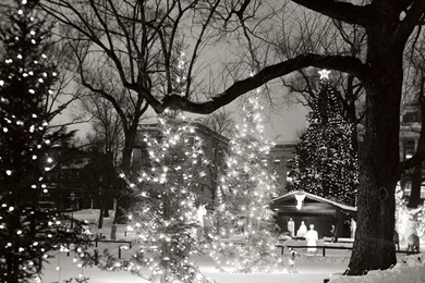 Black And White Christmas Pictures
