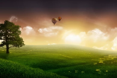 Green Dream Grassland And Balloon In Sky Backgrounds Widescreen ...