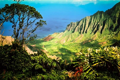 Hawaii Desktop Backgrounds