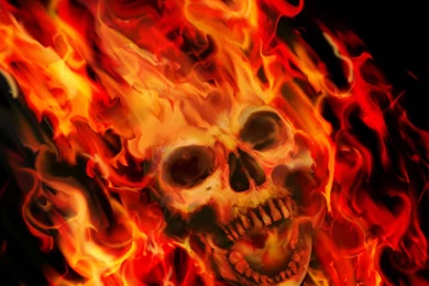 Flaming Skull Backgrounds Wallpapers Zone