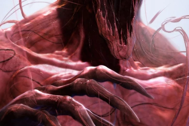 Quad HD (1440 X 2560) Wallpapers : A Small Collection Of Awesome ...