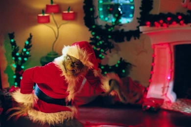 Great Grinch Wallpapers