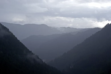 File:On A Rainy Day (2696692514).jpg Wikimedia Commons