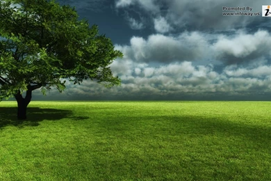 Beautiful High Resolution Wallpapers Images Tbwnz.com