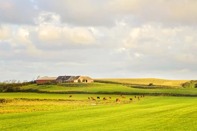 779434 Countryside Wallpapers