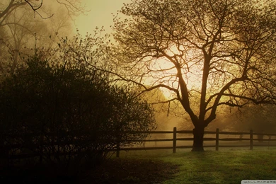 Download Countryside Wallpapers 1920x1080