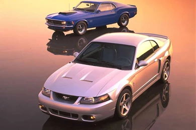 Mustang Cobra Wallpapers Ford Mustang Svt Cobra The Terminator Dark ...