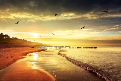 Reggae Wallpapers HD For Desktop Backgrounds Ndemok.com