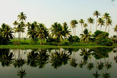 Kerala Nature Wallpapers Widescreen HD Wallpapers