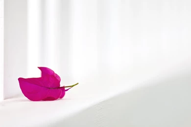 White Backgrounds Wallpapers 2