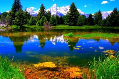 High Quality Nature Wallpapers